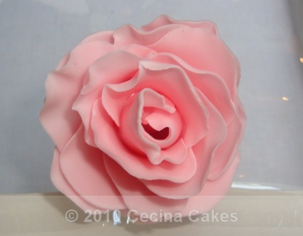 A single handmade rose - Celebration including Photo cake (Click on picture to enlarge)
