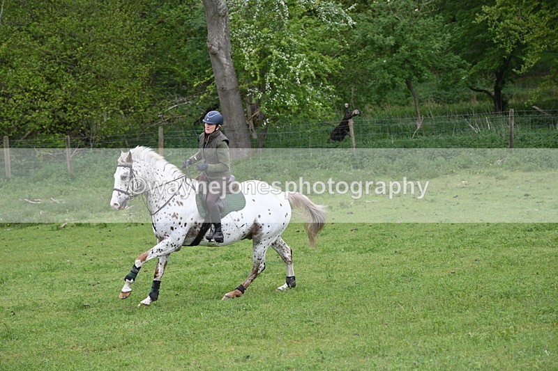 WJ6_2872 - A Camera