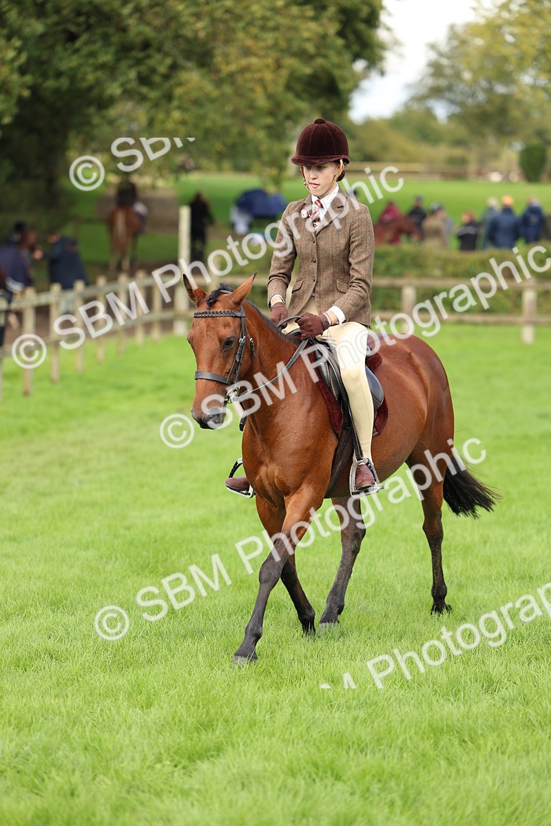 SBM_45398 - S33 - Working Hunter Pony