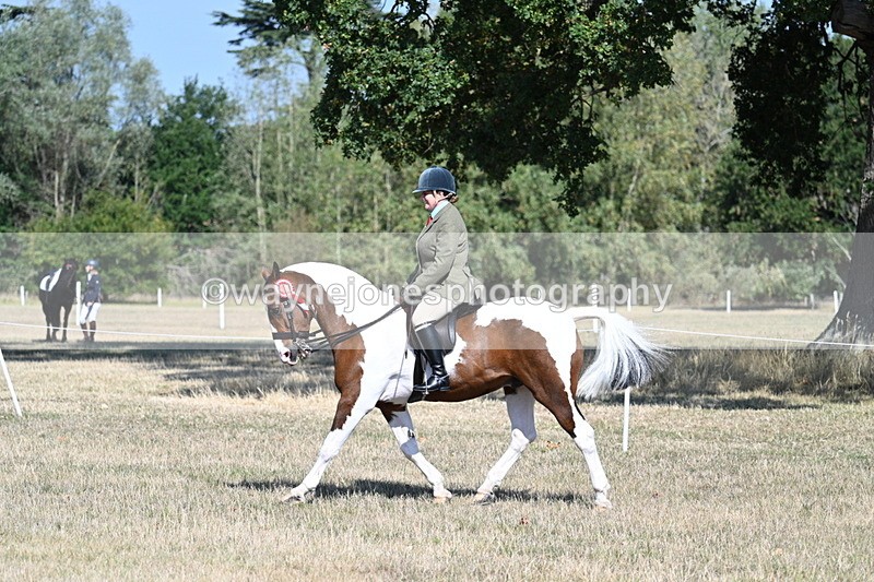 WJ7_3238 - Class 8 Ridden Tack & Turnout