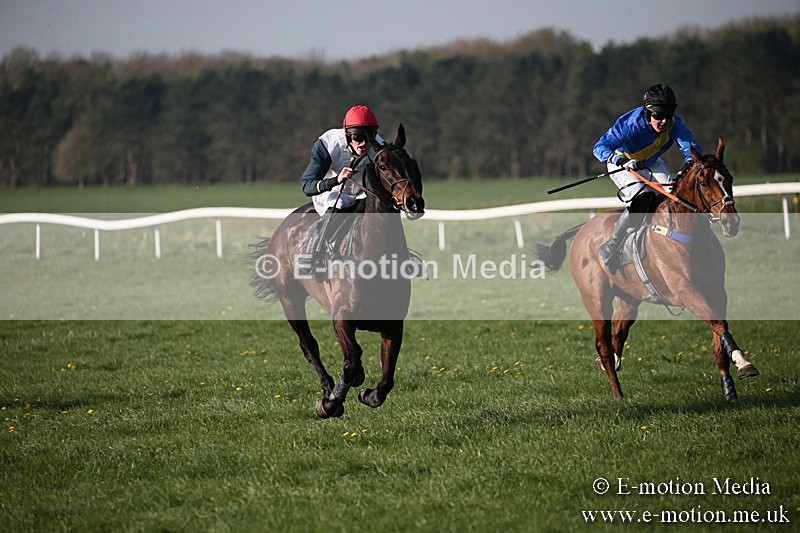 PtP 210418 634 - South & West Wilts Point-to-Point Larkhill 21/04/18