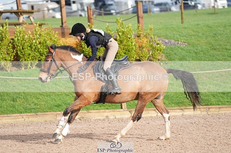 260131PC-115653-01684 - Cls 2 80cm