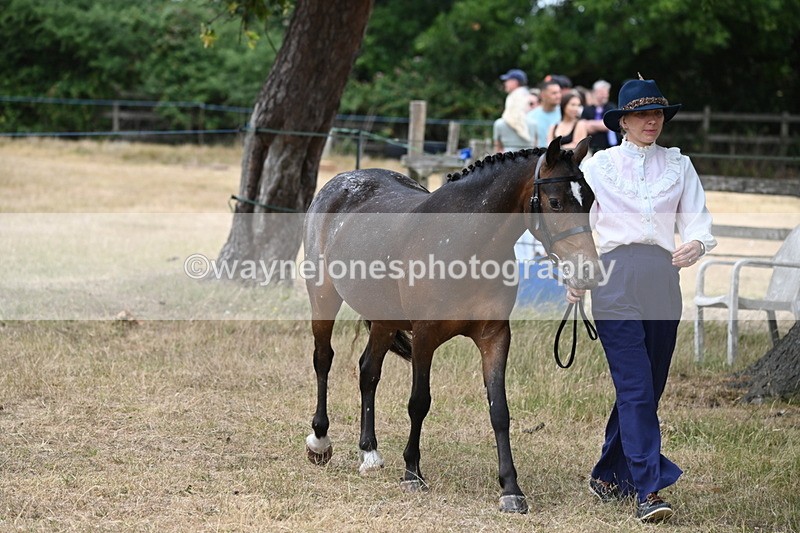 WJ6_7960 - Class 10 Coloured in Hand