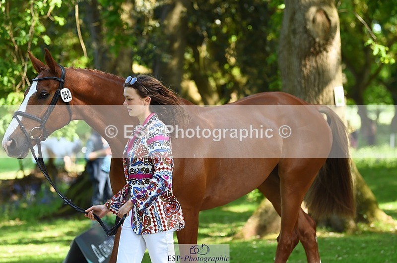 230524-161036-00737 - 252-LVS_MOVISTAR-Elizabeth_Barratt-WEDTrotUp+DR