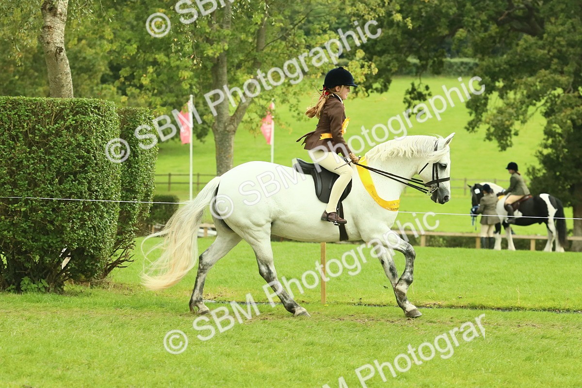 SBM_75035 - Ridden Pony Supreme Championship