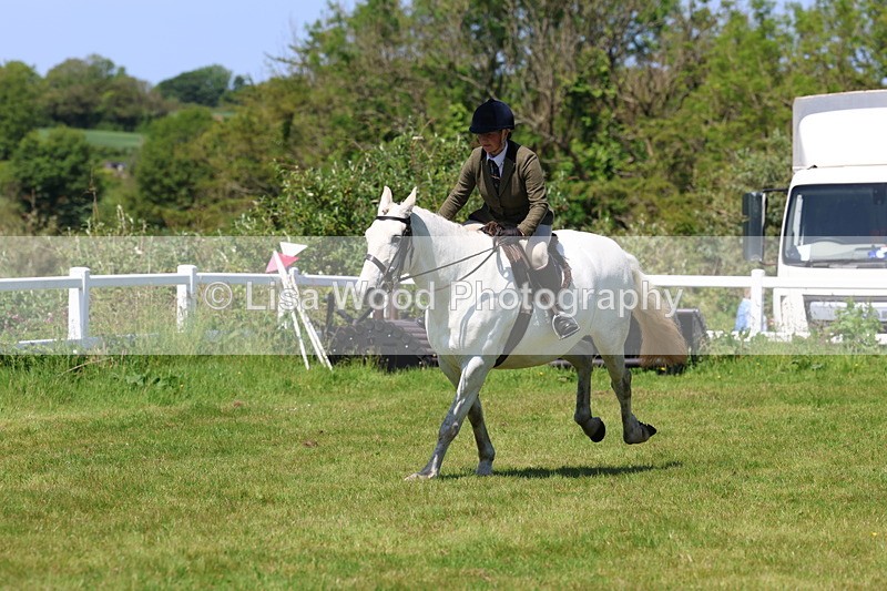 3E7A8350 - Class 13: Ridden Hunter