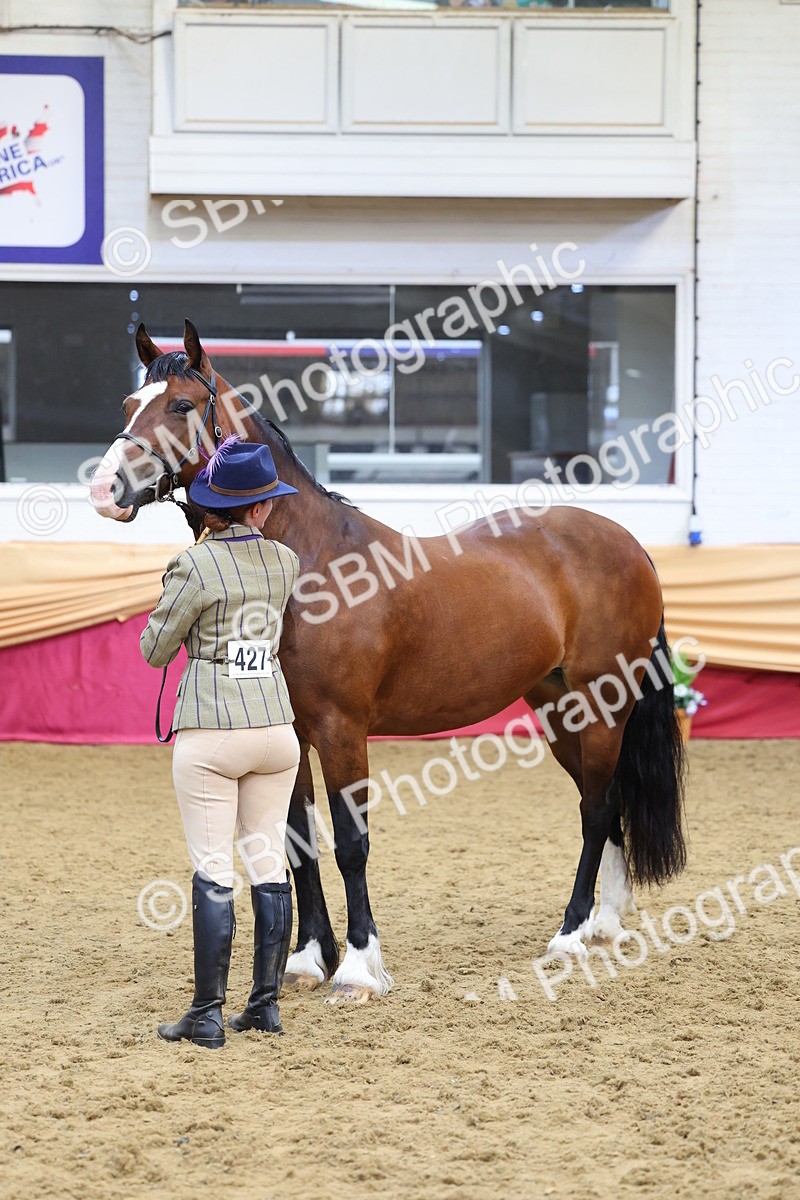 SBM_22874 - Class 903 - Supreme Final - IH Pre Vet