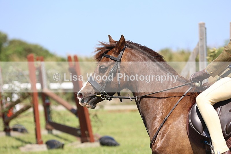 JPP_2216 - Class 20: Tiny Tots Working Hunter Pony