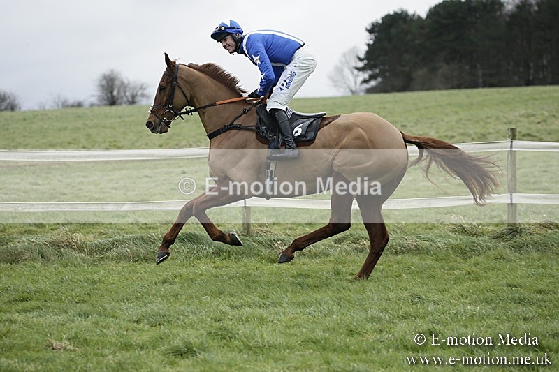 PtP 031217 266 - Hursley Hambledon Point-to-Point Larkhill 03/12/17