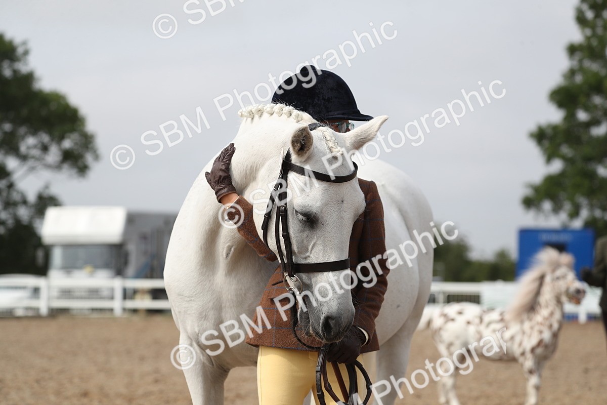 SBM_23169 - Class 605 - 2025 Area - IH Veteran