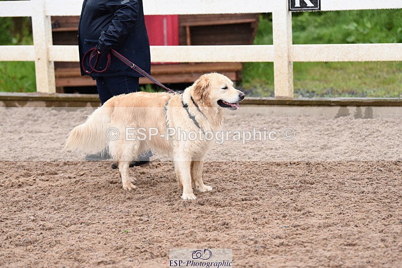 240518A-133756-01330 - Cls 9 Best in Show