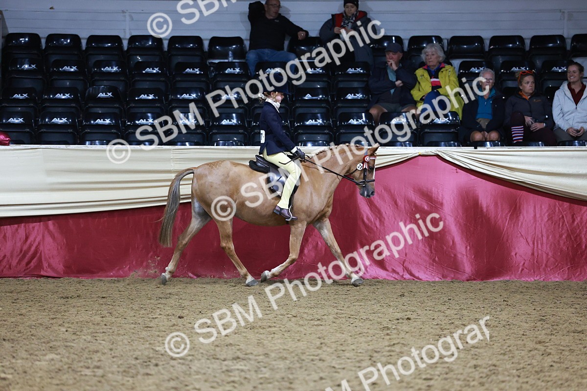 SBM_20263 - Class D - Grass Roots Champ