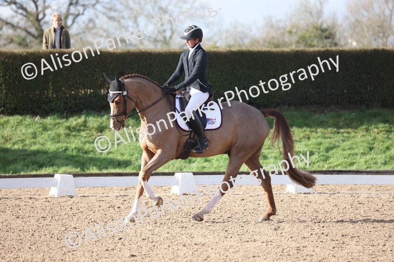 20260128-0486 - Class 4 - Novice 5