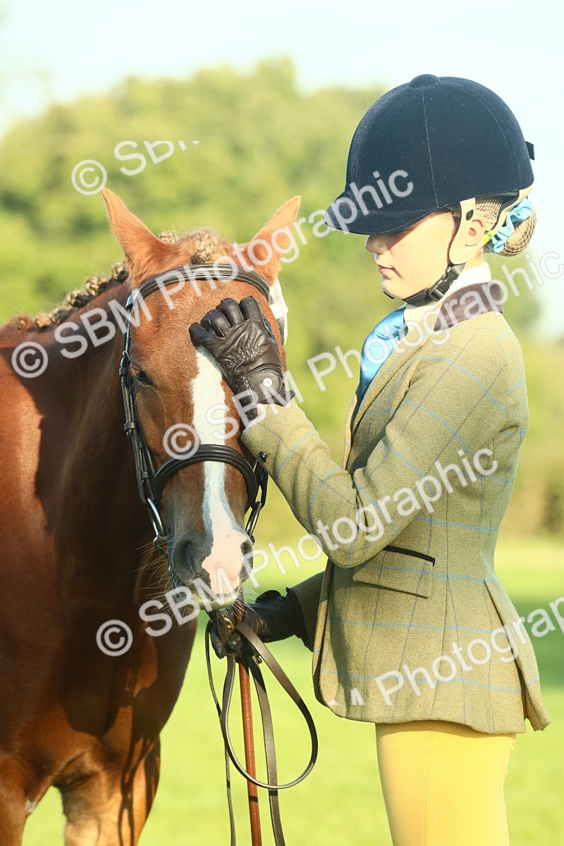 SBM_57473 - S37 - Starters In Hand Showing