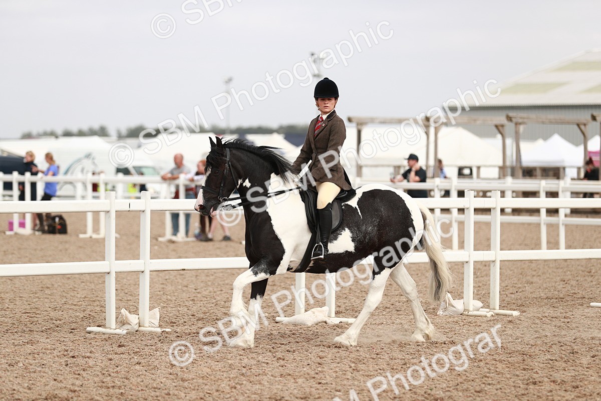 SBM_16704 - Class 214 Ridden Cob