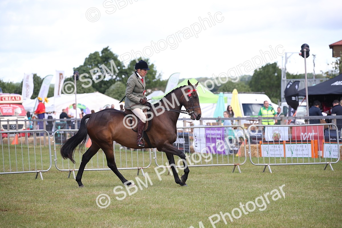 SBM_13280 - Class 95-96 - LIHS BSHA Rising Star Hack Riding Horse