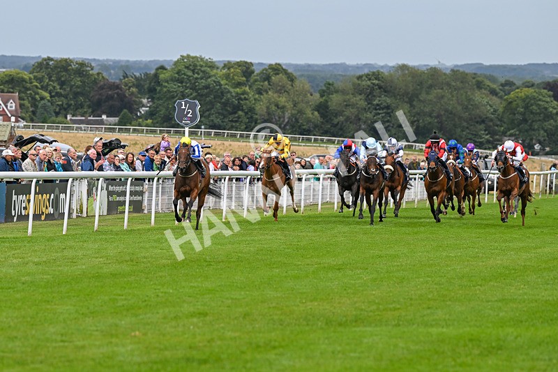 150824-Race 3-Go On Rosie-7829 - Race 3