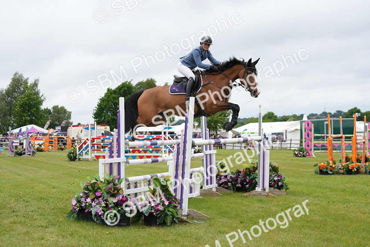 SBM_03351 - Class 201 - British Horse Feeds Speedi Beet Horse of the Year Show Grade  C