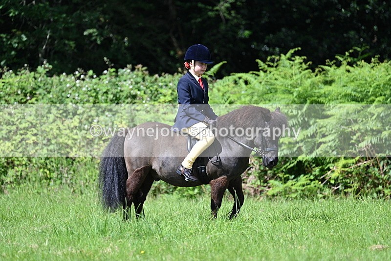 WJ7_1202 - Class 11 Condition & Turnout