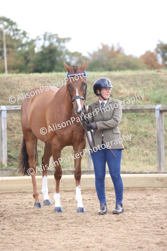 20260831-1939 - Class 5 - Retraining of Racehorses