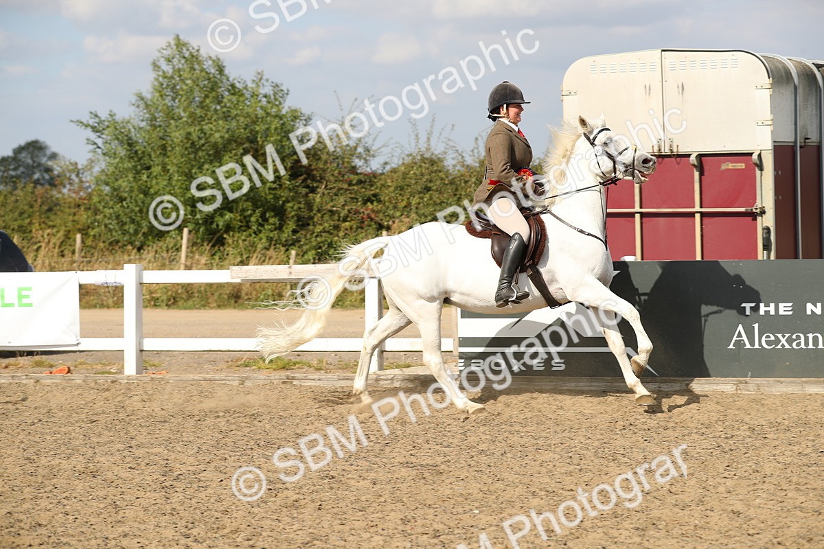 SBM_06940 - Class 49a Style & Performance 80cm (15-19)