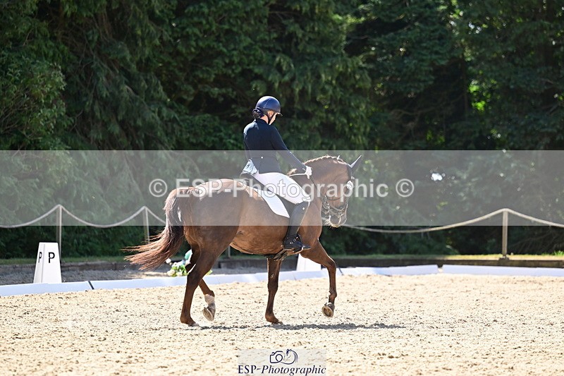 260731A-112429-00343 - Elementary Bronze 10.30 - Break