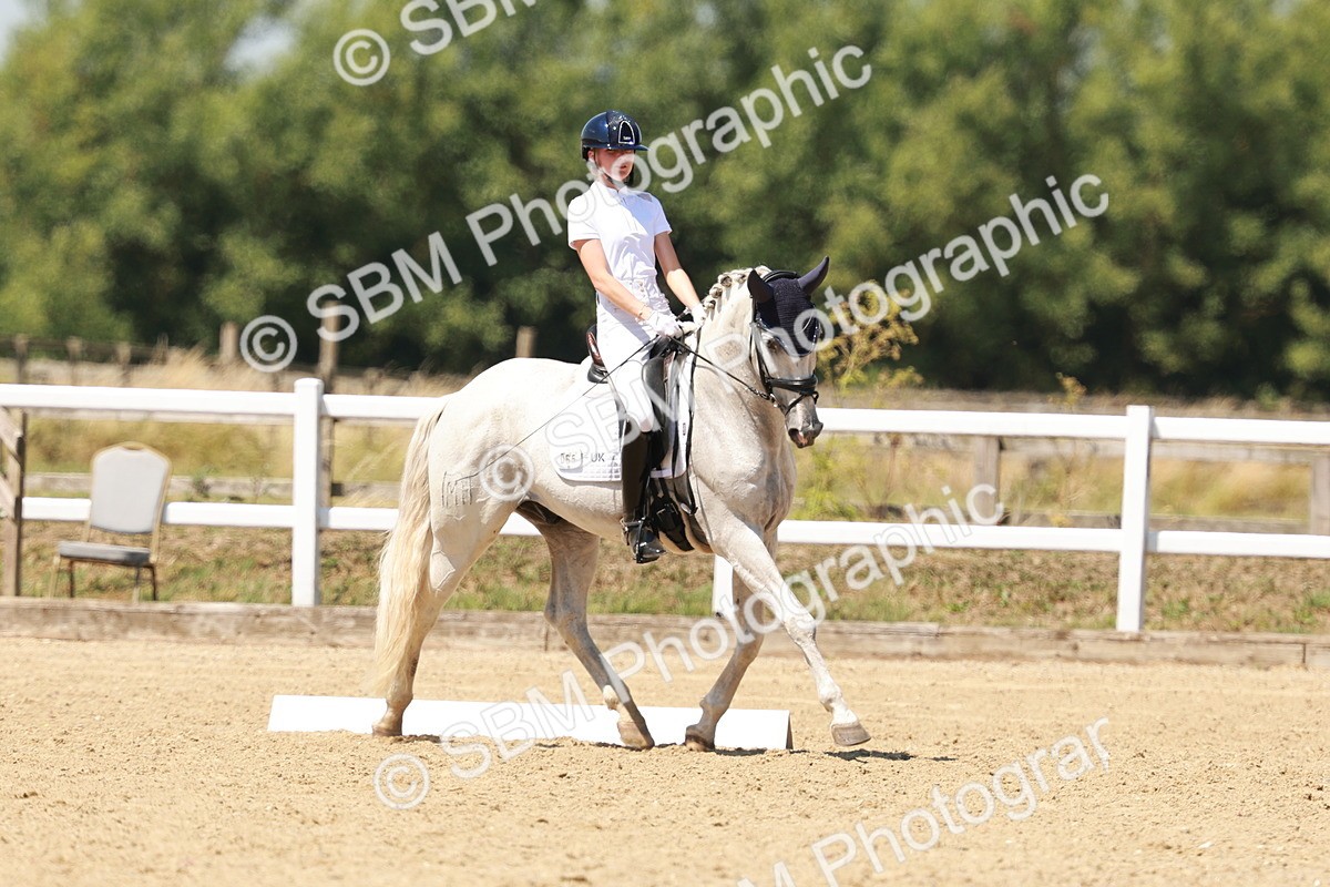 SBM_022323 - Class 23 - FEI int I