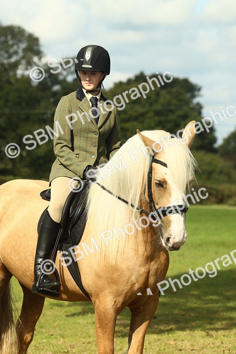 SBM_62681 - S63 - Other Coloured Horse Ridden