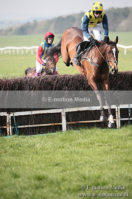 PtP 210418 418 - South & West Wilts Point-to-Point Larkhill 21/04/18
