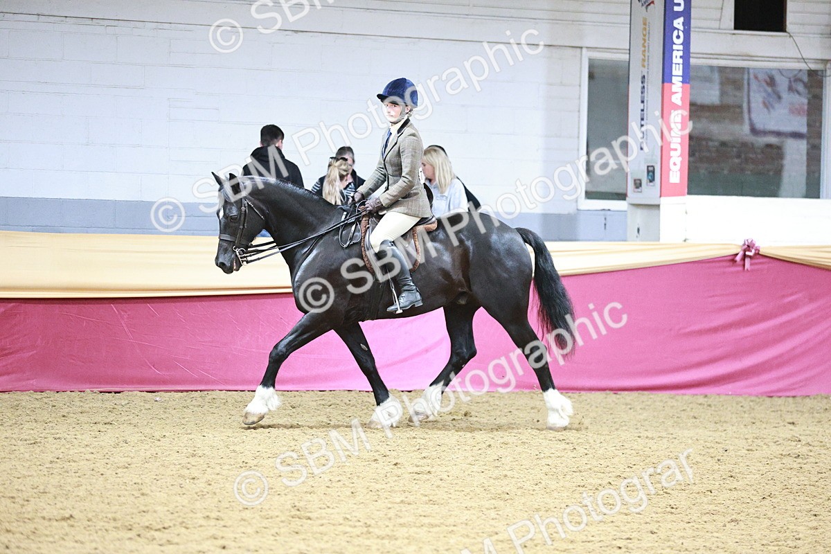 SBM_03499 - Class 6A Area Ridden Pre-Vet