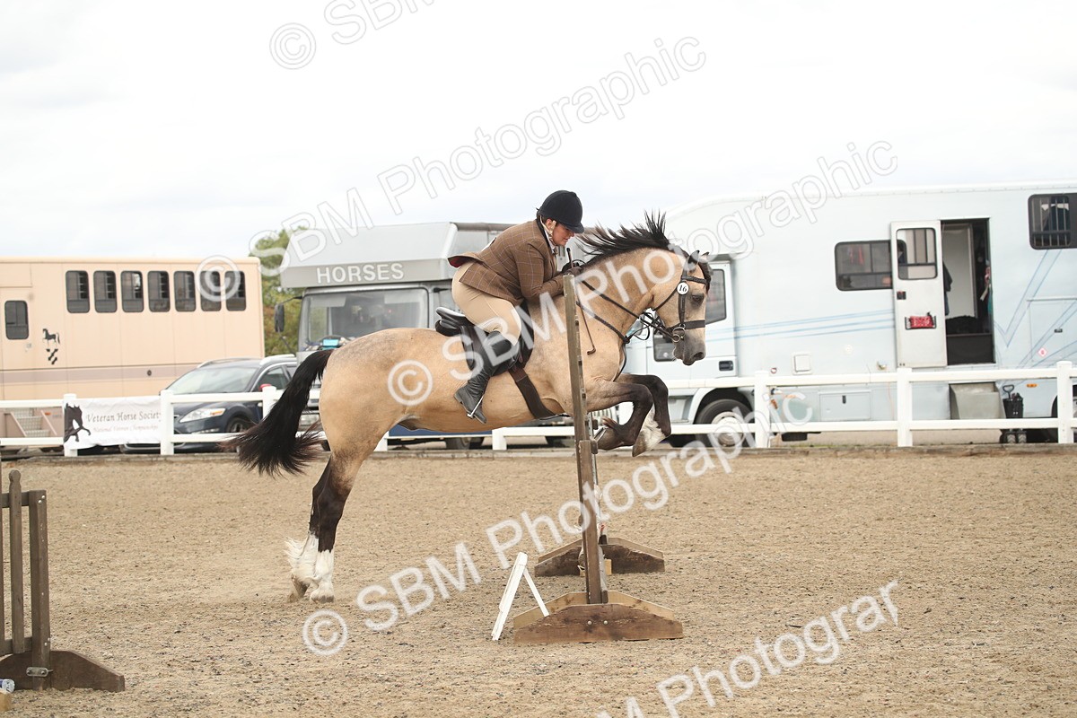 SBM_16680 - Class 507a - Working Veteran - 60cm (15-19)