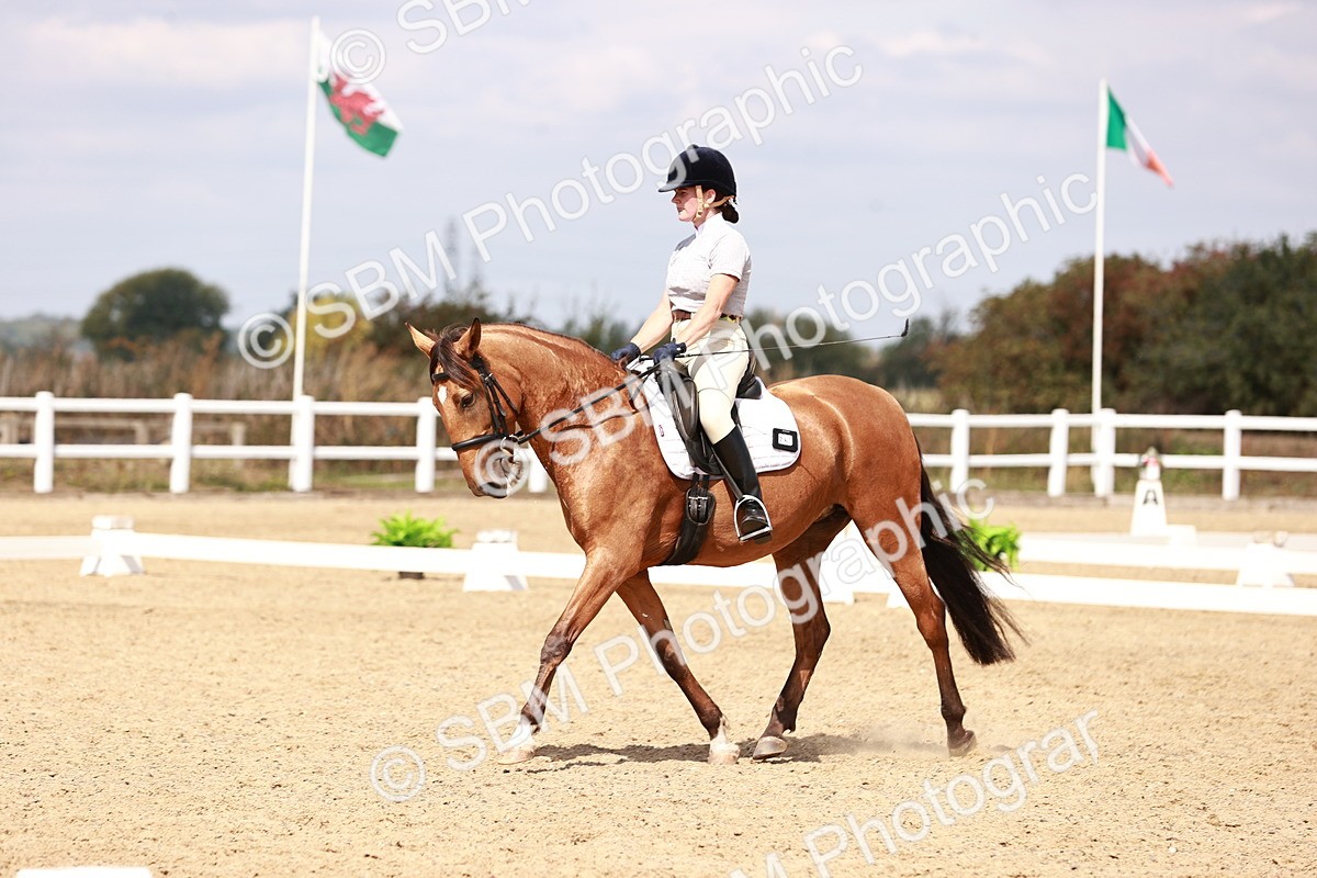 SBM_018555 - Class 17 - Novice 6