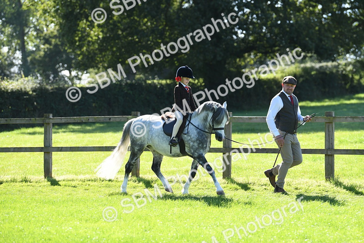 SBM_39512 - S18 - Novice & Newcomers Lead Rein Pony