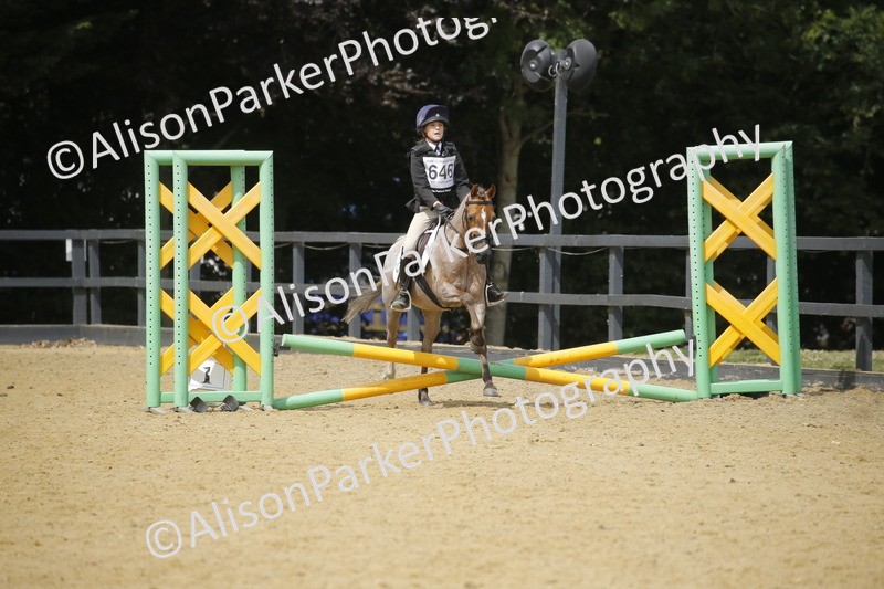 20250622-4133 - 50cm