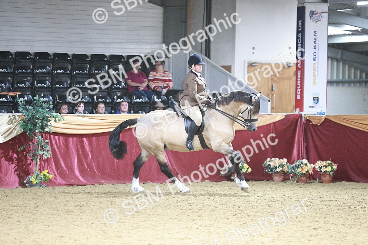 SBM_09023 - Class 12R - Regional Ridden Pre-Vet