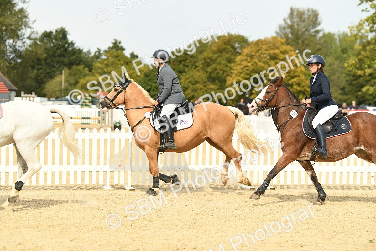 SBM_65318 - J48 - Pairs Jumping Open 70cm & 85cm