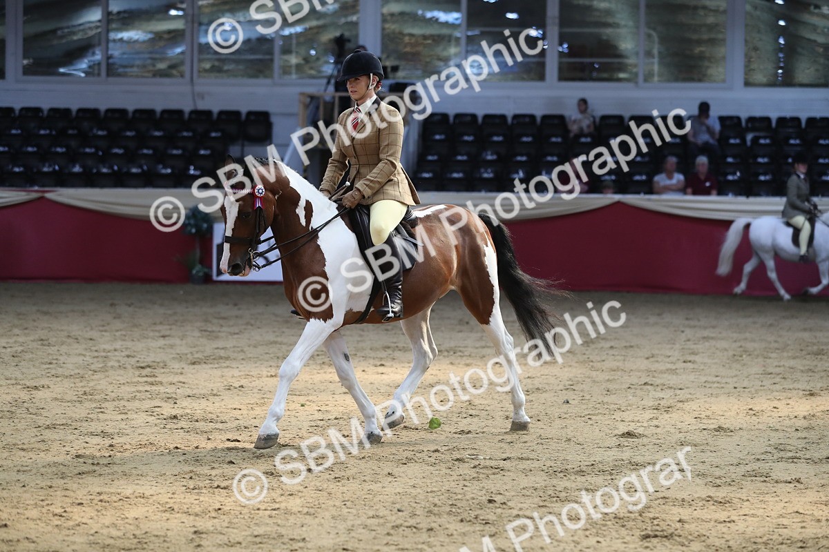 SBM_08332 - Class 11R Regional Ridden Veteran