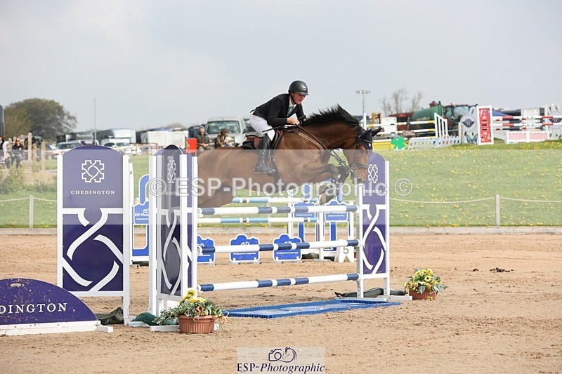 250424-105054-03261 - Cls 33 Young Horse 7yr old