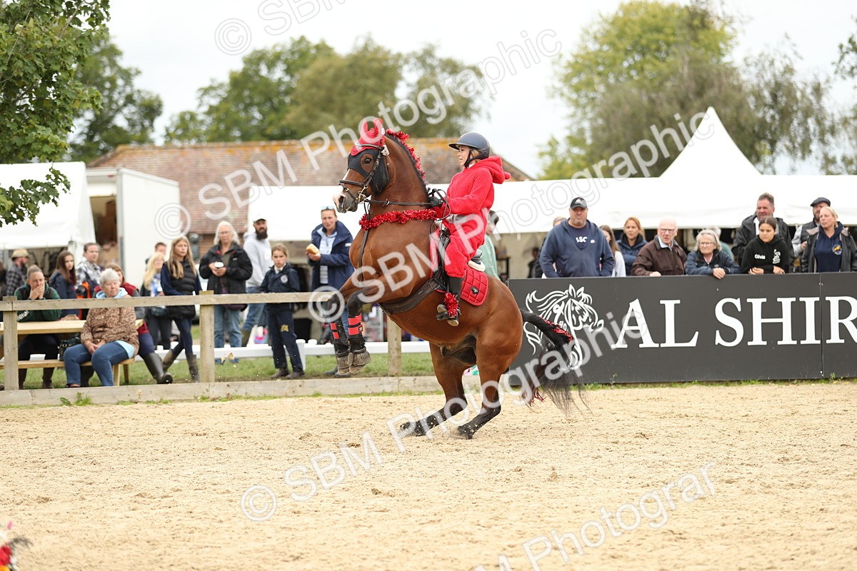 SBM_65869 - J48 - Pairs Jumping Open 70cm & 85cm