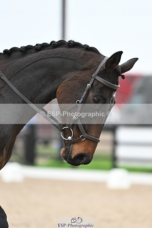 241103-140249-02394 - Prelim 2 - 13.23 to 14.33