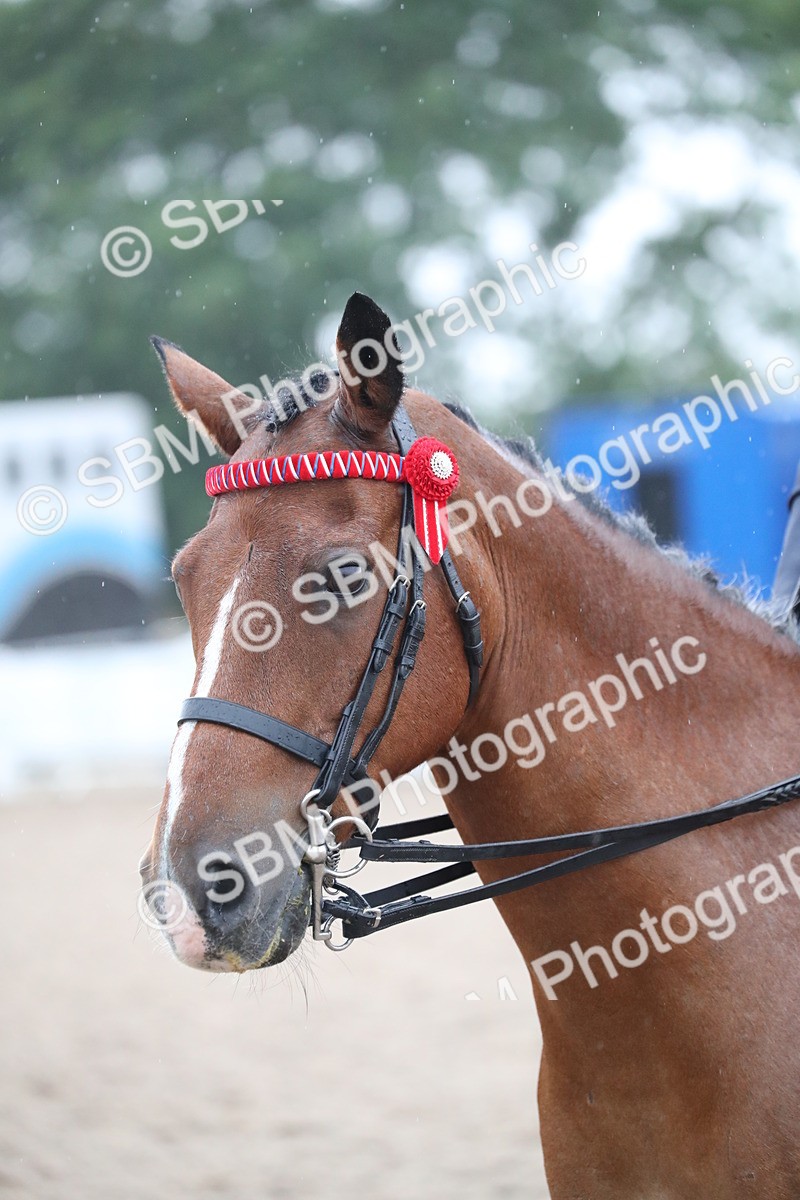 SBM_20466 - Class 601 - 2025 Area - Ridden Diamond