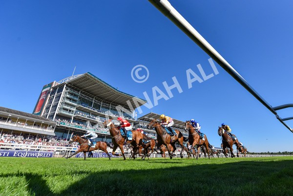 110725-Race 6-Brazen Bolt-6902 - Race 6 5.07pm William Hill Keep Your Raceday Positive Handicap