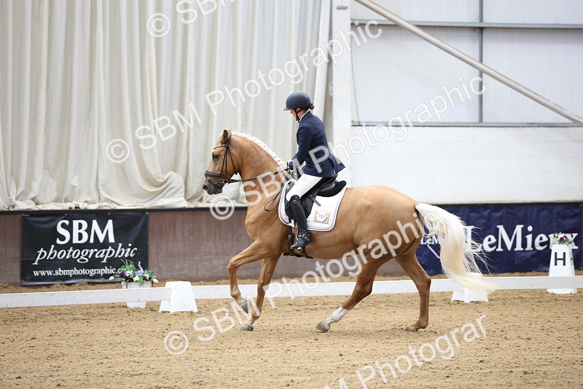 SBM_002074 - Class 5 - Novice 6 Gold - 9.00-10.10
